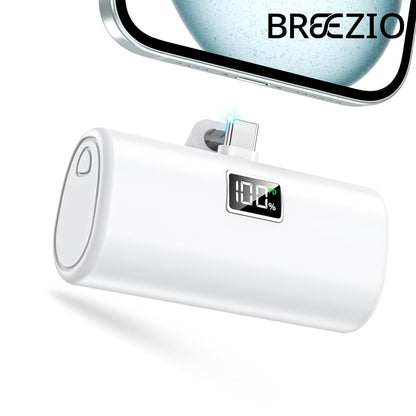 Portable Charger 6000mAh, USB-C Portable Phone Charger with Fast Charging (20W), Mini Battery